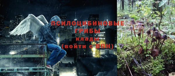 мяу мяу мука Аркадак