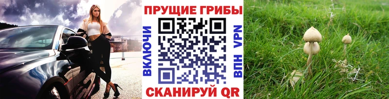 Псилоцибиновые грибы прущие грибы  Малоархангельск 